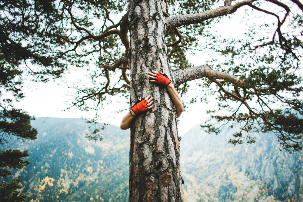 tree-hugger red gloves